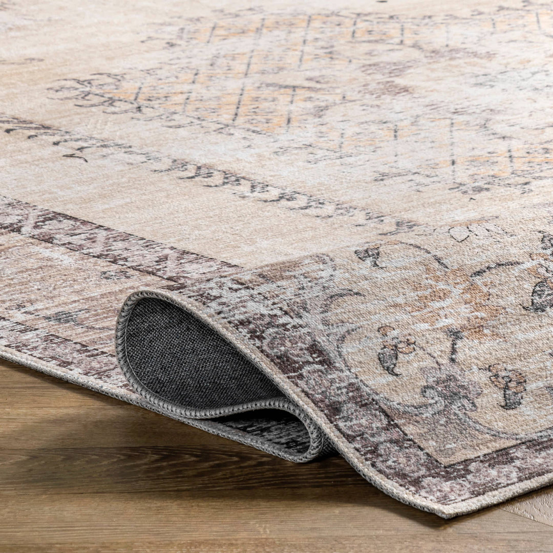 Ely Machine Washable Faded Medallion Rug