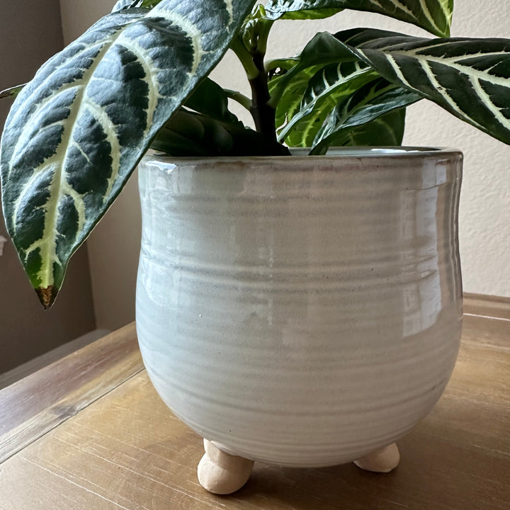 The Tad Round Pot with Legs, Available in 2 Sizes