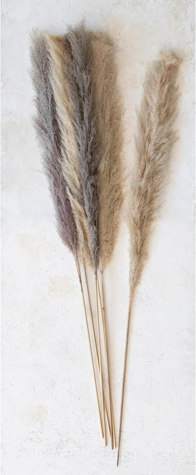 Dried Natural Pampas Grass Bunch