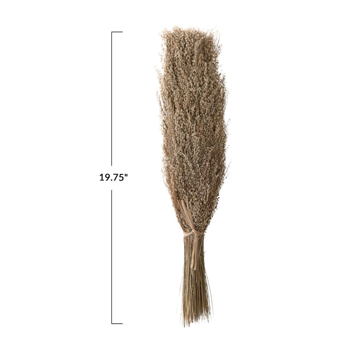 Dried Star Grass Bunch
