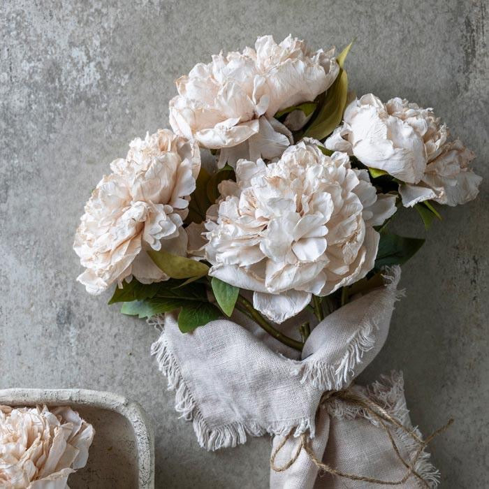 Peony Evening Dew Stem