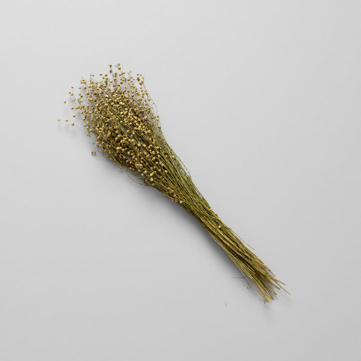 Dried Yellow Flax Stems