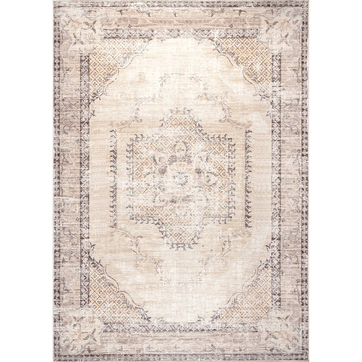 Ely Machine Washable Faded Medallion Rug